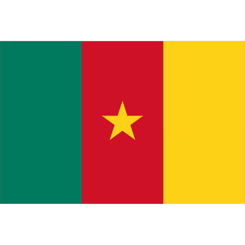 IQ Direct Data-Only eSIM - Cameroon