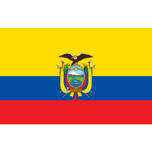 IQ Direct Data-Only eSIM - Ecuador
