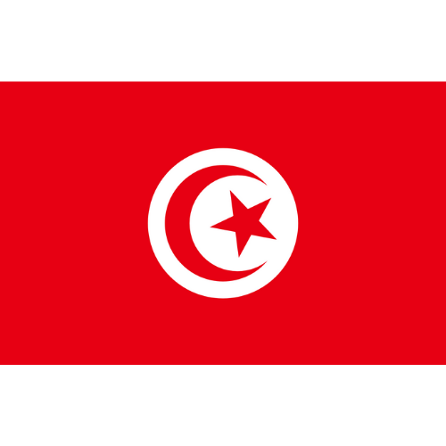 IQ Direct Data-Only eSIM - Tunisia